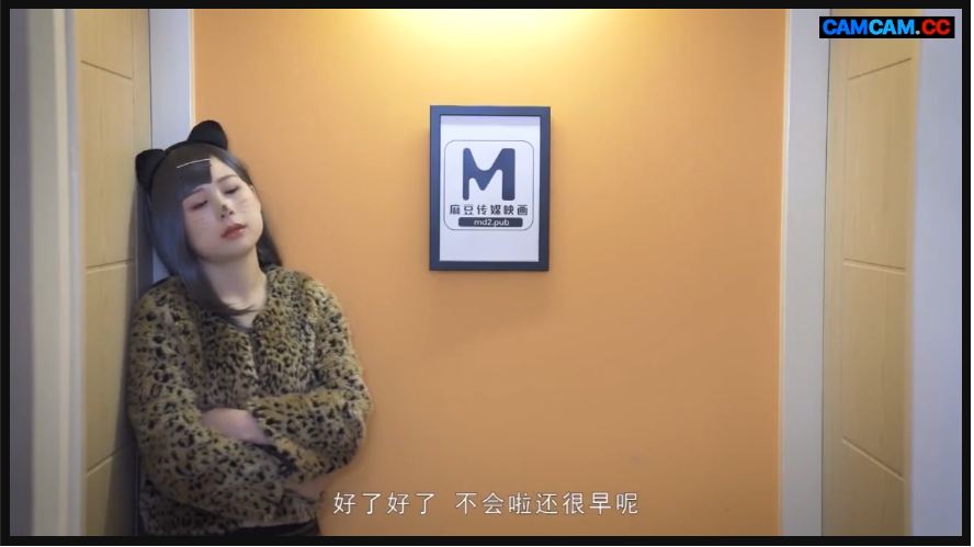 Khi hai con người có chung sở thích: nuôi mèo